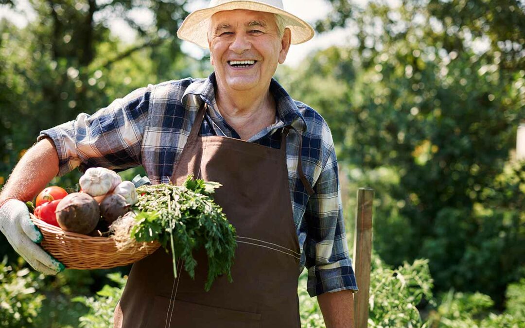 Fruit trees — The Snails Are Dead And The Possum Buffet Is In