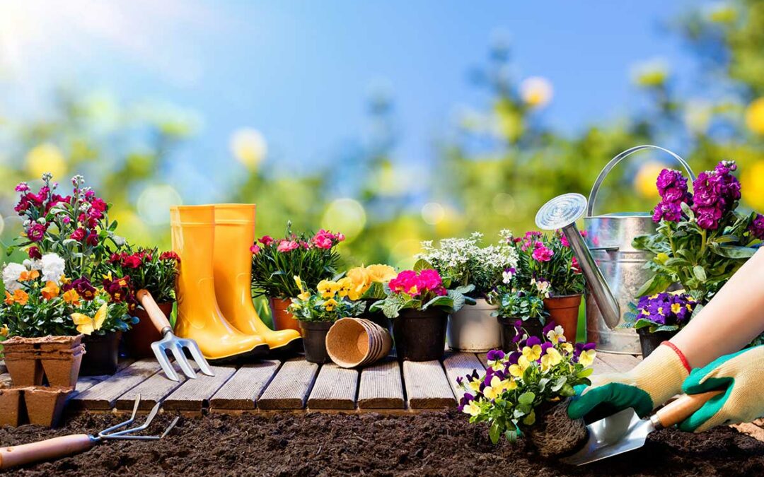 What is healthy soil?