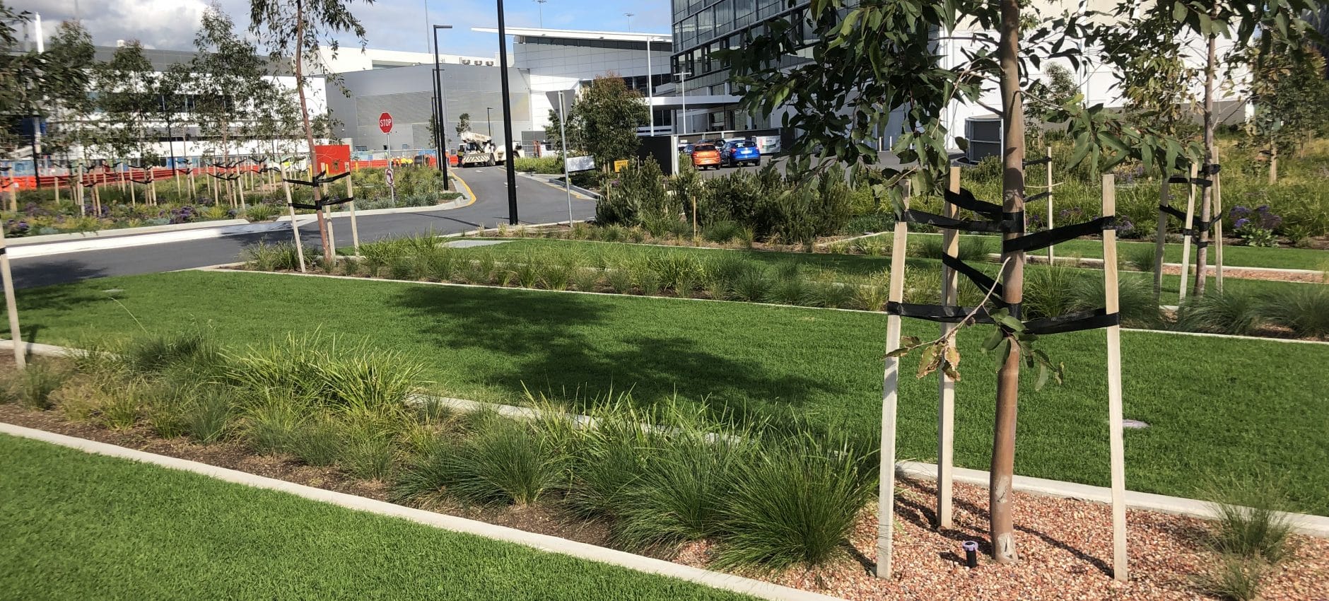 adelaide airport taxi terminal