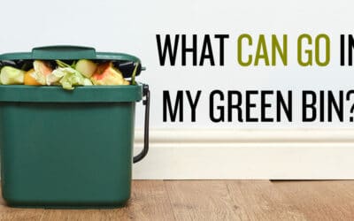 What can go in my green bin?