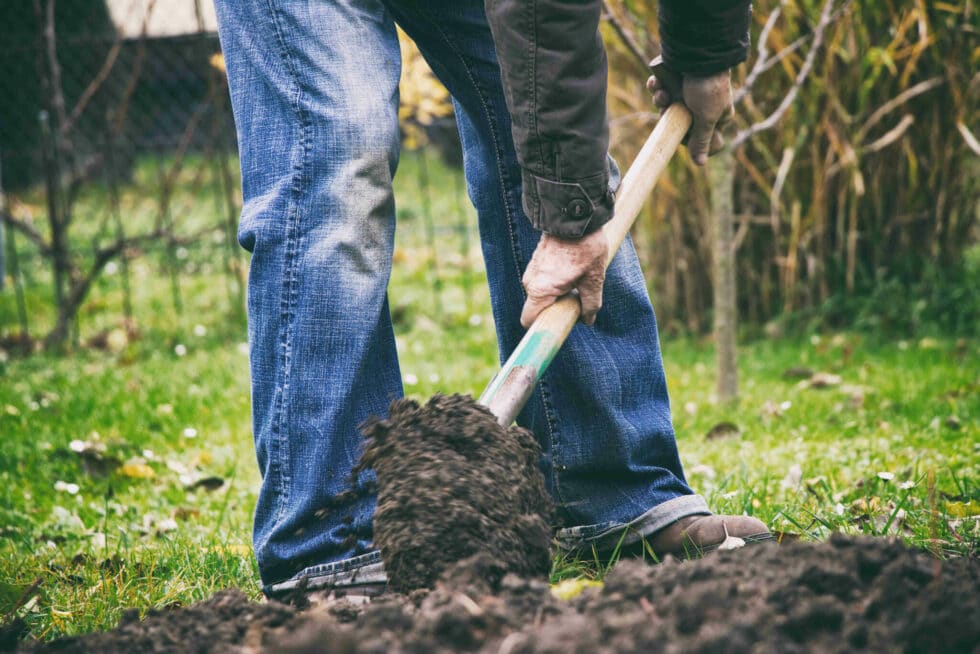 Get your garden ready for spring It is all about