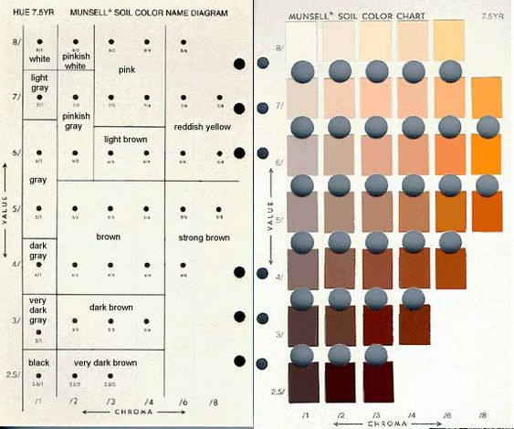 munsell soil chart