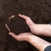 Jeffries Organic Compost - Image 4
