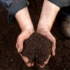Jeffries Organic Compost - Image 2