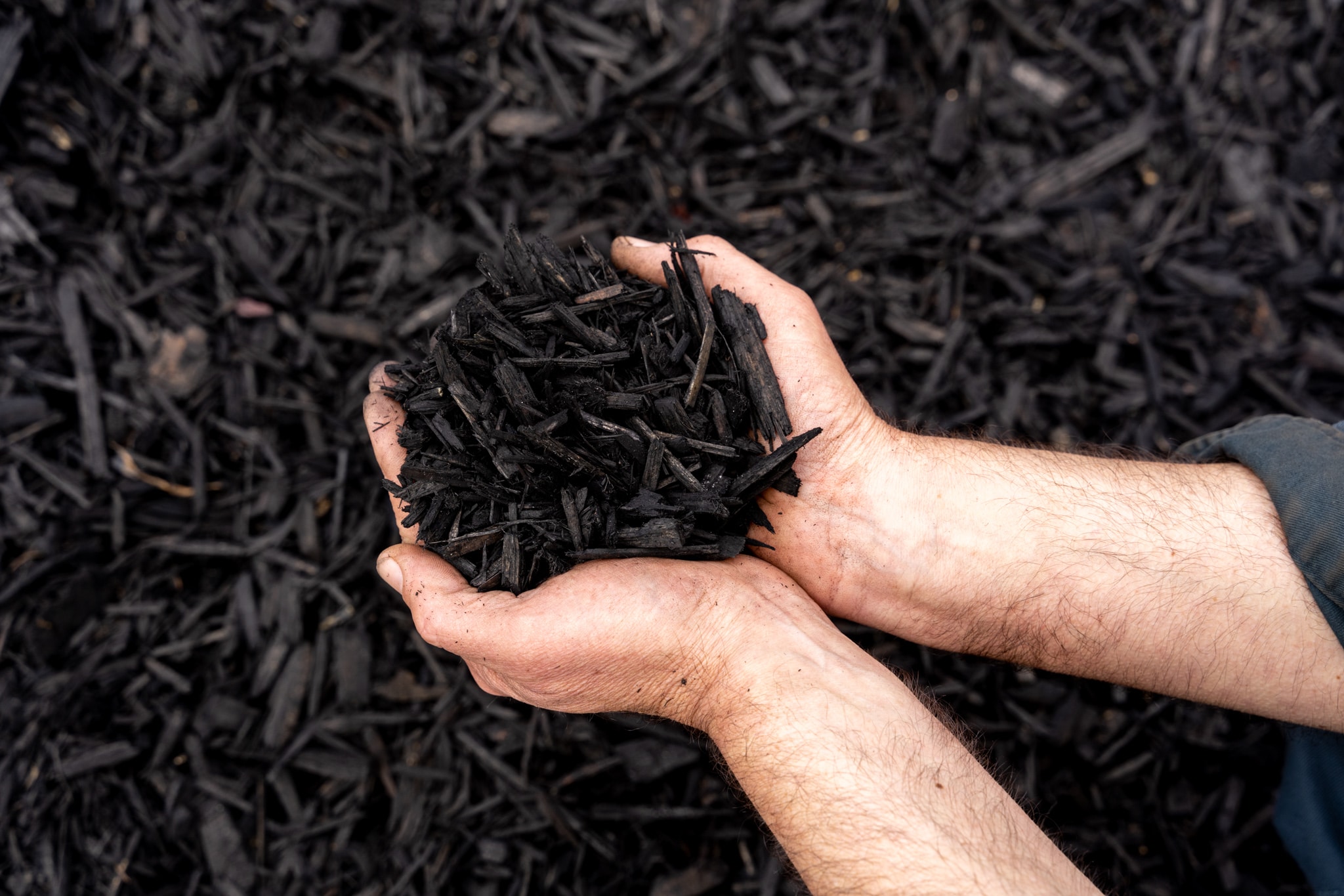 is black mulch bad for dogs