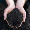 Jeffries Veggie & Garden Soil - Image 2