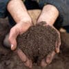 Jeffries Special Soil - Image 2