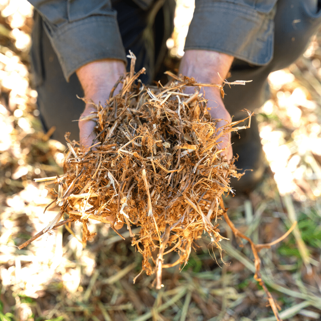Lowe Farms Pea Straw Mulch 50L Jeffries