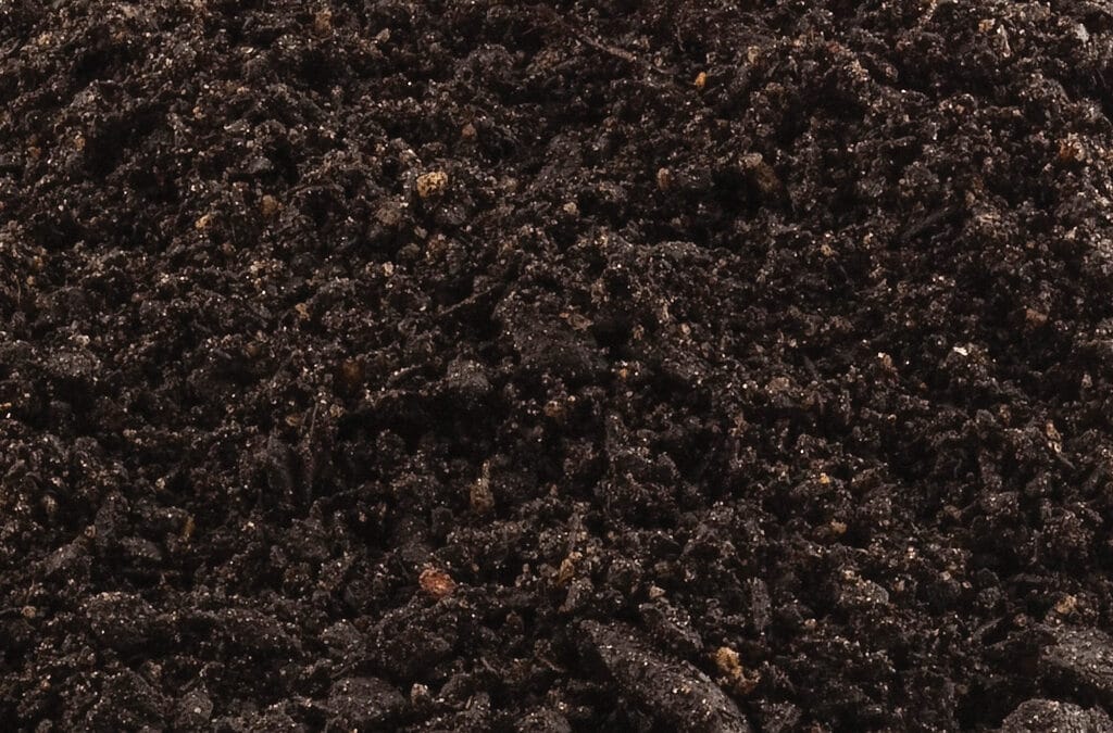 Jeffries Premium Potting Mix