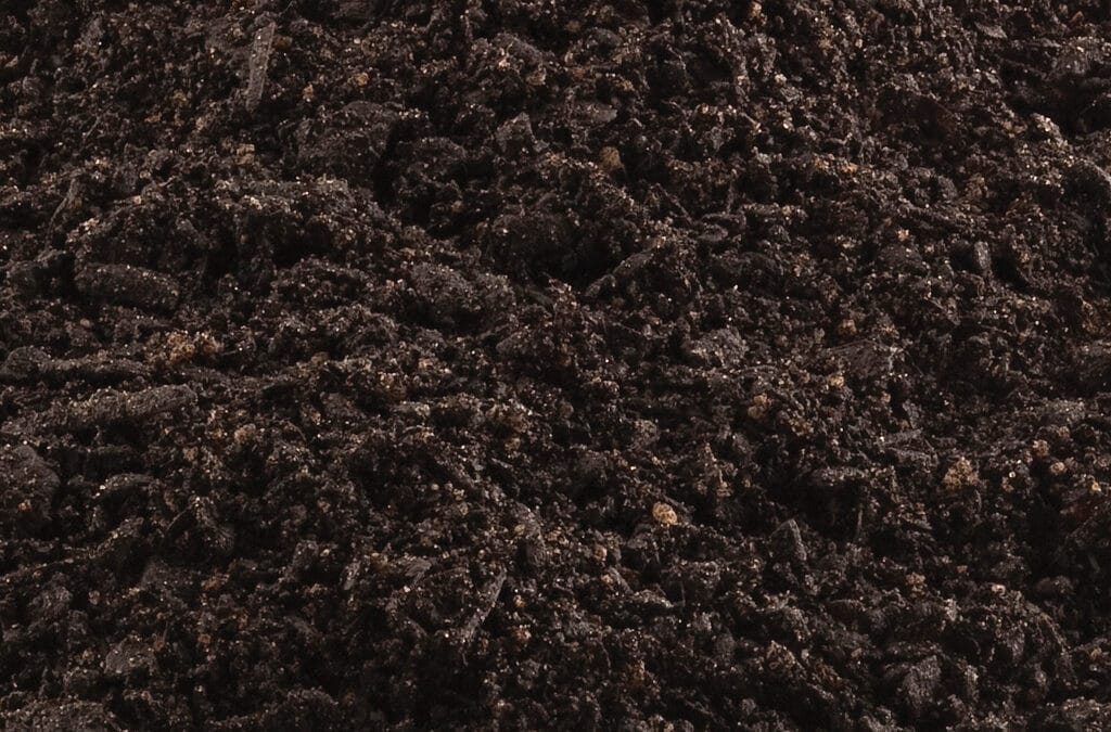 Jeffries Regular Potting Mix