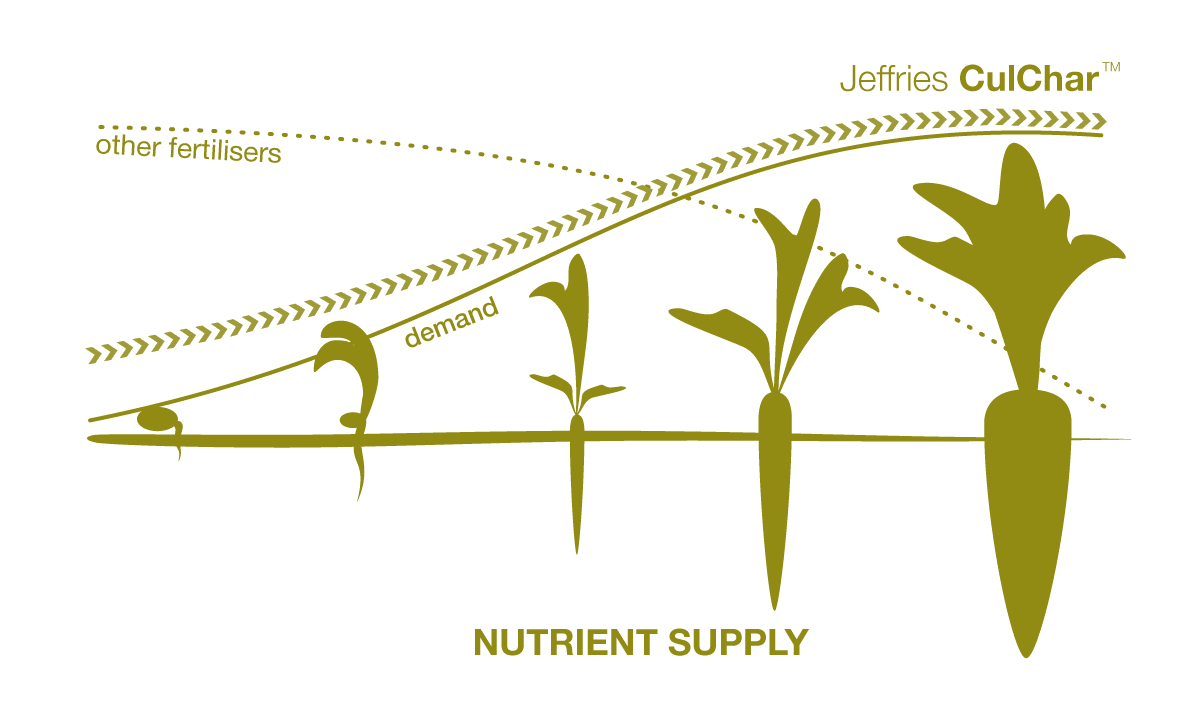 CulChar slow release