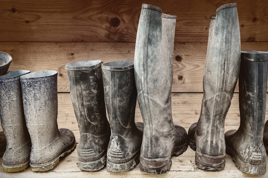 Gumboots boots in a row