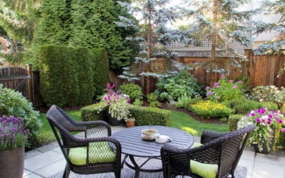 Top Tips to Grow a Beautiful Garden